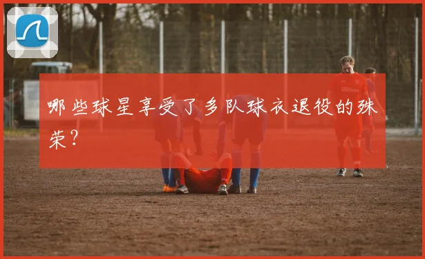 哪些球星享受了多队球衣退役的殊荣?